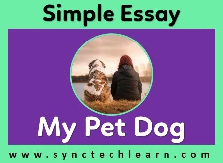 essay on my pet Dog in English