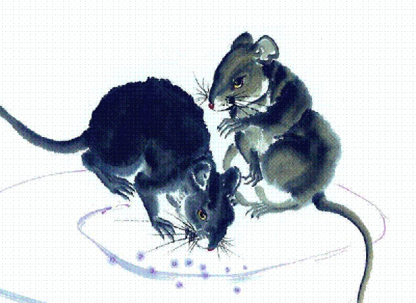 clip_image002