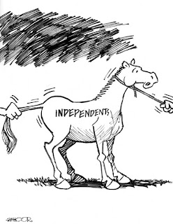 dailytimes newspaper cartoon pakistan