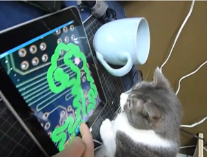 Top Viral Videos About IPad