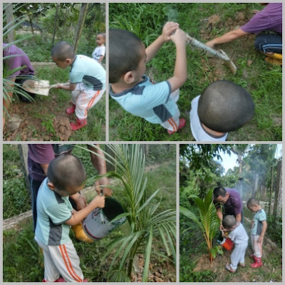 Ajar anak berkebun tanam pokok kelapa mudah dan cepat