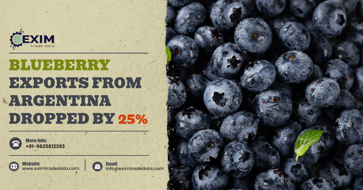 Blueberry exports from Argentina dropped by 25%