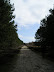 Track to Tangham