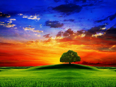 Many Colour Nature for Top Desktop