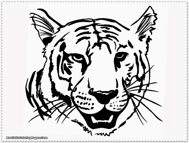 Realistic Tiger Coloring Pages With Tiger Coloring Page