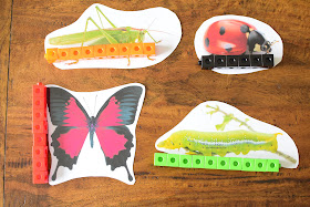 INSECT THEMED MEASURING ACTIVITY