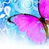 Beautiful Butterfly Wallpapers