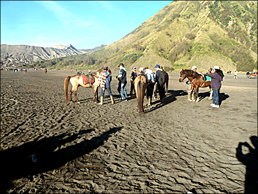 Jurnal Paket Wisata Bromo - Menawarkan Kuda