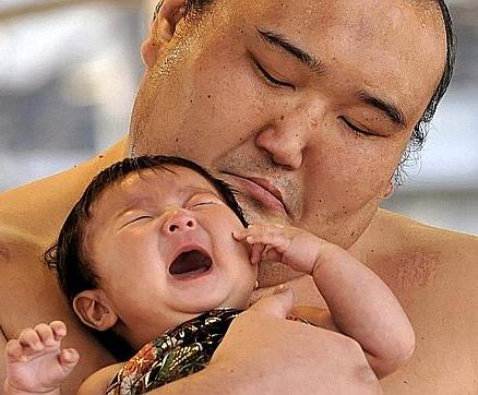 Naki Sumo El Concurso De Los Bebes Llorones En Tokio Absurdidades