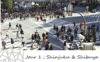 http://wearesmallandtheworldisbig.blogspot.be/2014/03/jour-1-shinjuku-shibuya-et-le-jetlag.html