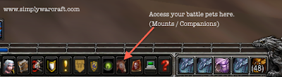 Mounts & companions tab