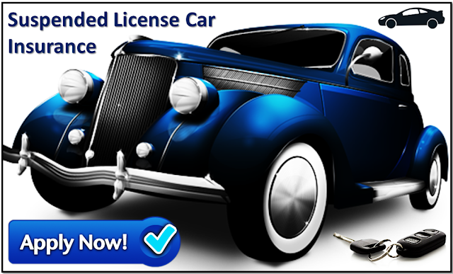 Car insurance for suspended license online