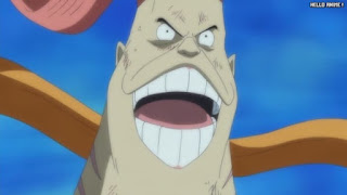 ワンピースアニメ 魚人島編 559話 リュウボシ | ONE PIECE Episode 559