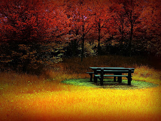 Amazing-HD-Autumn-Wallpaper