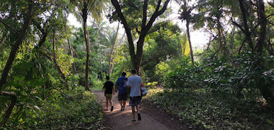 Caminando entre la selva de Dhigurah.