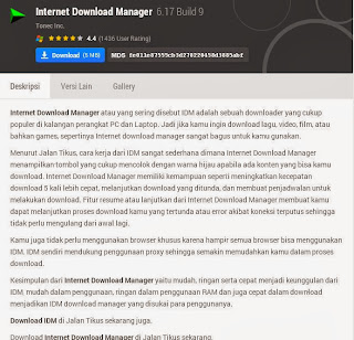 Internet Download Manager (IDM)