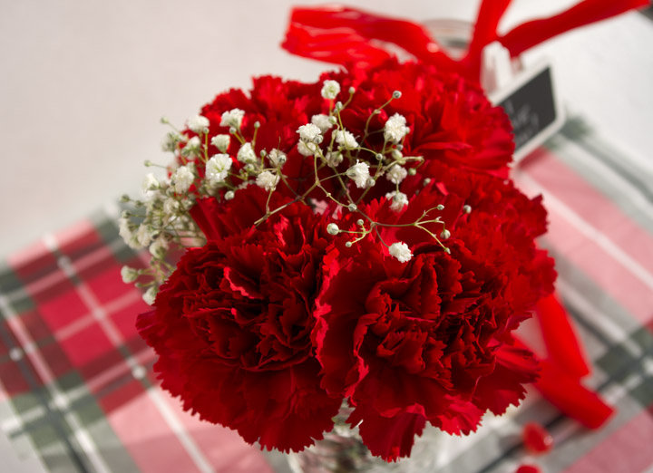 Valentine's Day Decor | carnations, baby's breath, mason jar, plaid | personallyandrea.com