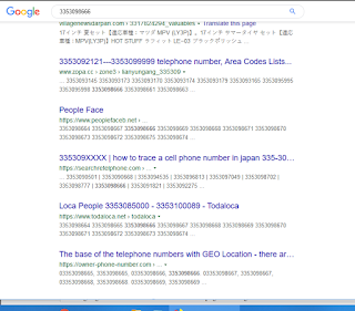 Google search screenshot