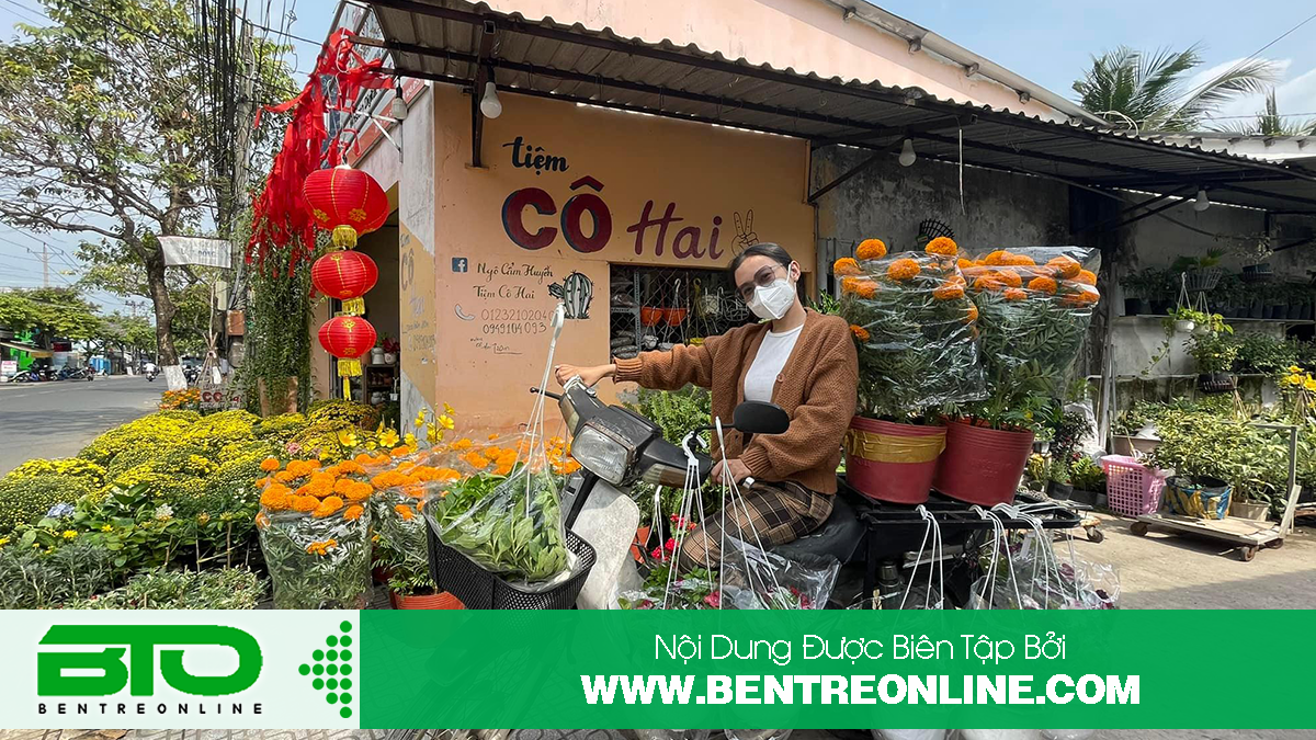 Bán Cây Cảnh Ở Bến Tre - BTO