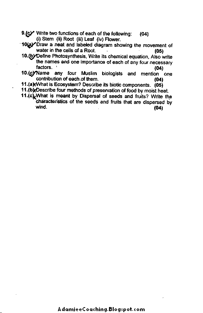 Biology Past Year Paper 2004