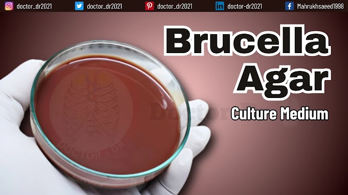 Brucella Agar: Composition, Principles, Preparation, Uses, and Limitations