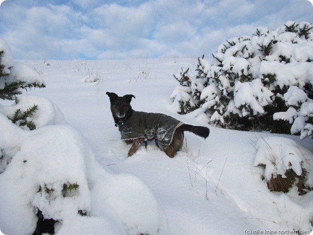 snow