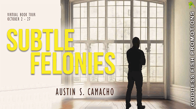 SUBTLE FELONIES  by Austin S. Comacho GENRE:    mystery/thriller