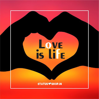 Love is Life  Whatsapp DP