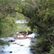 View album