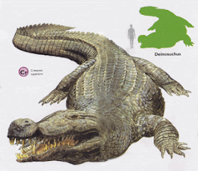 Deinosuchus rugosus