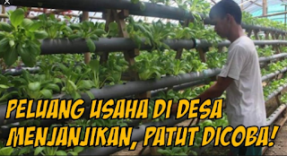 Peluang Usaha Di desa