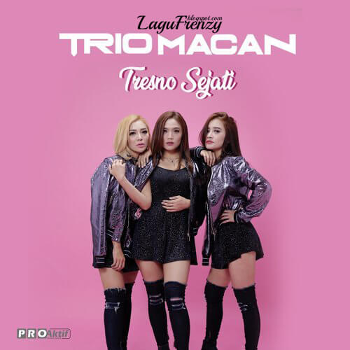 Download Lagu Trio Macan - Tresno Sejati
