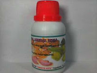 obat herbal asma