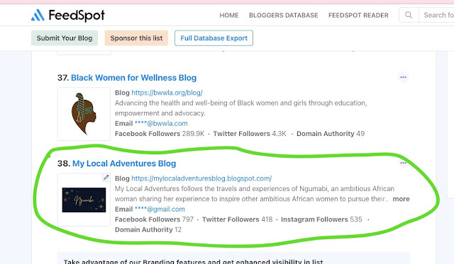 My Blog Was Listed Among the Top Black Female Blogs on the Web