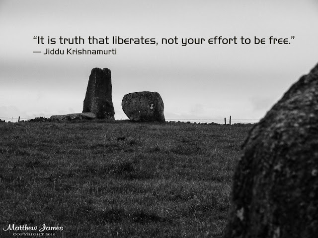 'It is truth that liberates, not your effort to be free' - Jiddu Krishnamurti