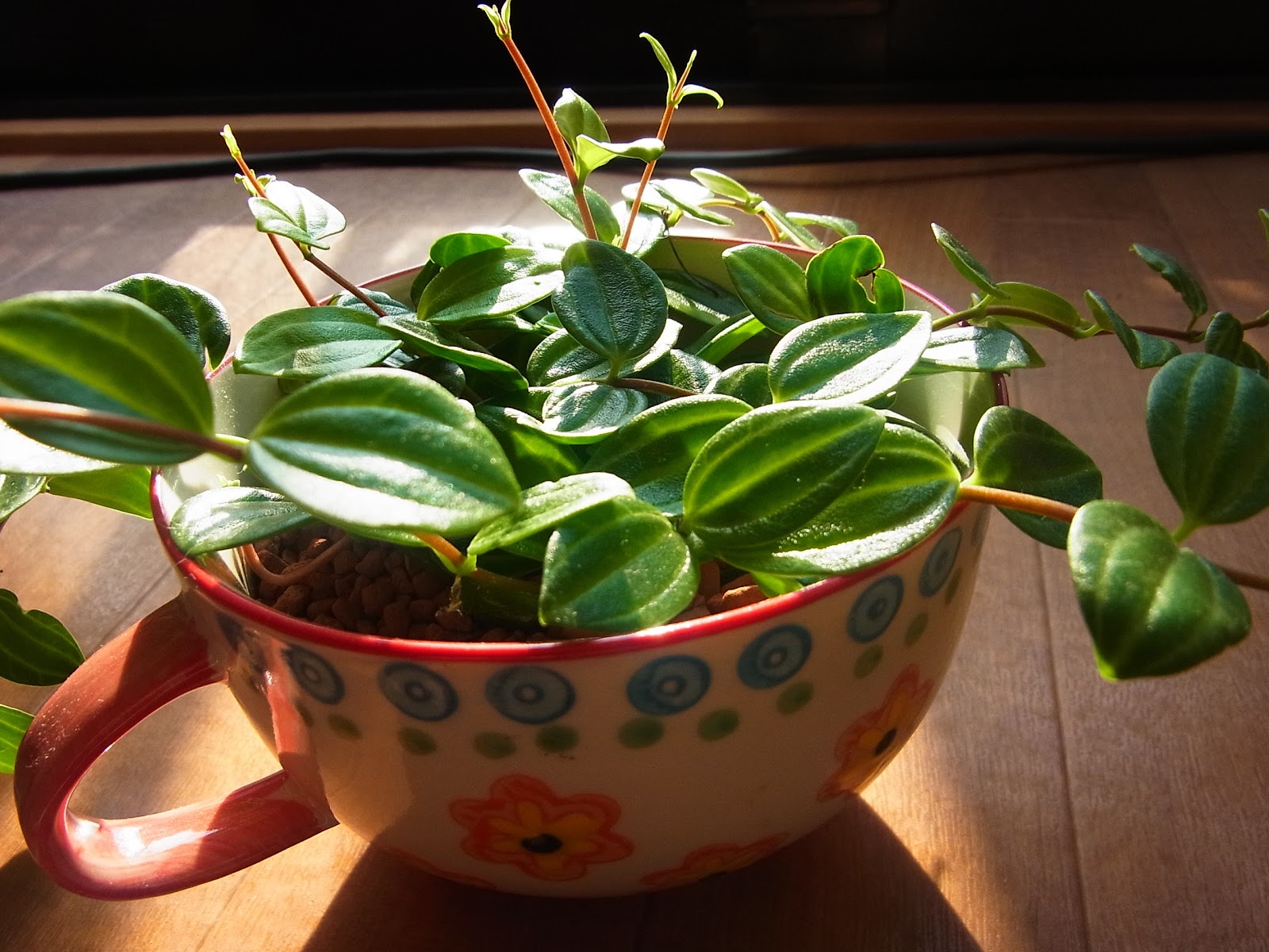 2012-10-21 08.35.03.jpg