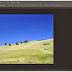 Use of Patch Tool in Adobe Photoshop