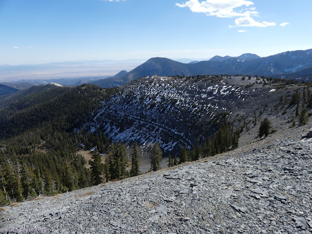 101: ridge with sparse trees on the highest portion