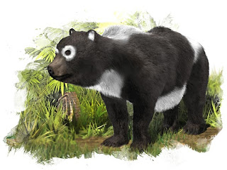  Kerabat purba dari Panda Raksasa telah ditemukan di Spanyol Pintar Pelajaran Panda Prasejarah Ditemukan Di Eropa