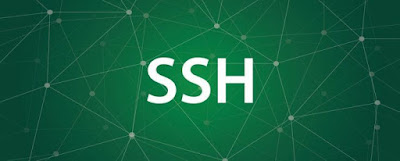 Ssh layer