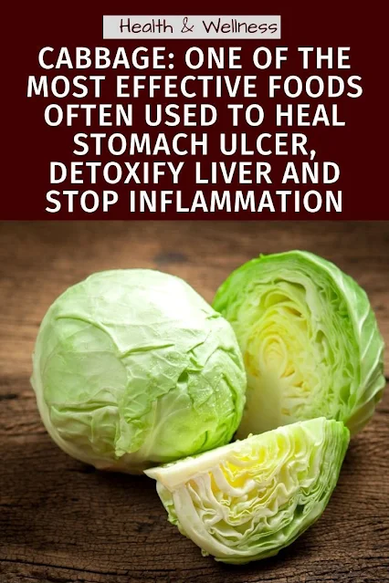 Cabbage: One Of The Most Effective Foods Often Used To Treat Stomach Ulcer, Detoxify Liver And Stop Inflammation