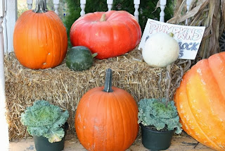 photo of pumpkin harvest 