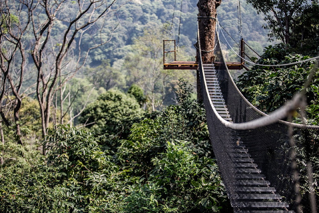 kingkong smile zipline, king kong smile zipline, kingkong smile zipline chiang mai, kingkong smile zipline chiangmai, kingkong zipline, kingkong zipline chiang mai, kingkong zipline chiangmai