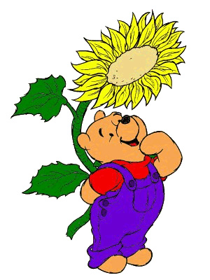 winnie the pooh (6)
