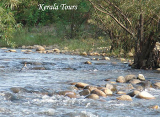 Kerala Tours