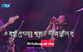 বাপুই চেংড়া রে || Bapui Chengra re (ভাওয়াইয়া গান)  Lyrics || Krishnopakkho  ||