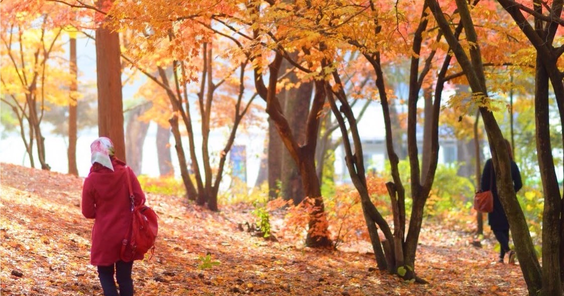 Pengalaman bercuti ke Korea musim luruh (Autumn) 한국의 가을 