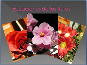  Ecuaciones de las flores