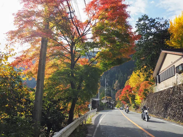 彩甲斐街道