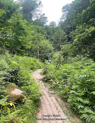 طريق مشاة ضمن الأشجار لشلال ماخونسيتي في باتومي